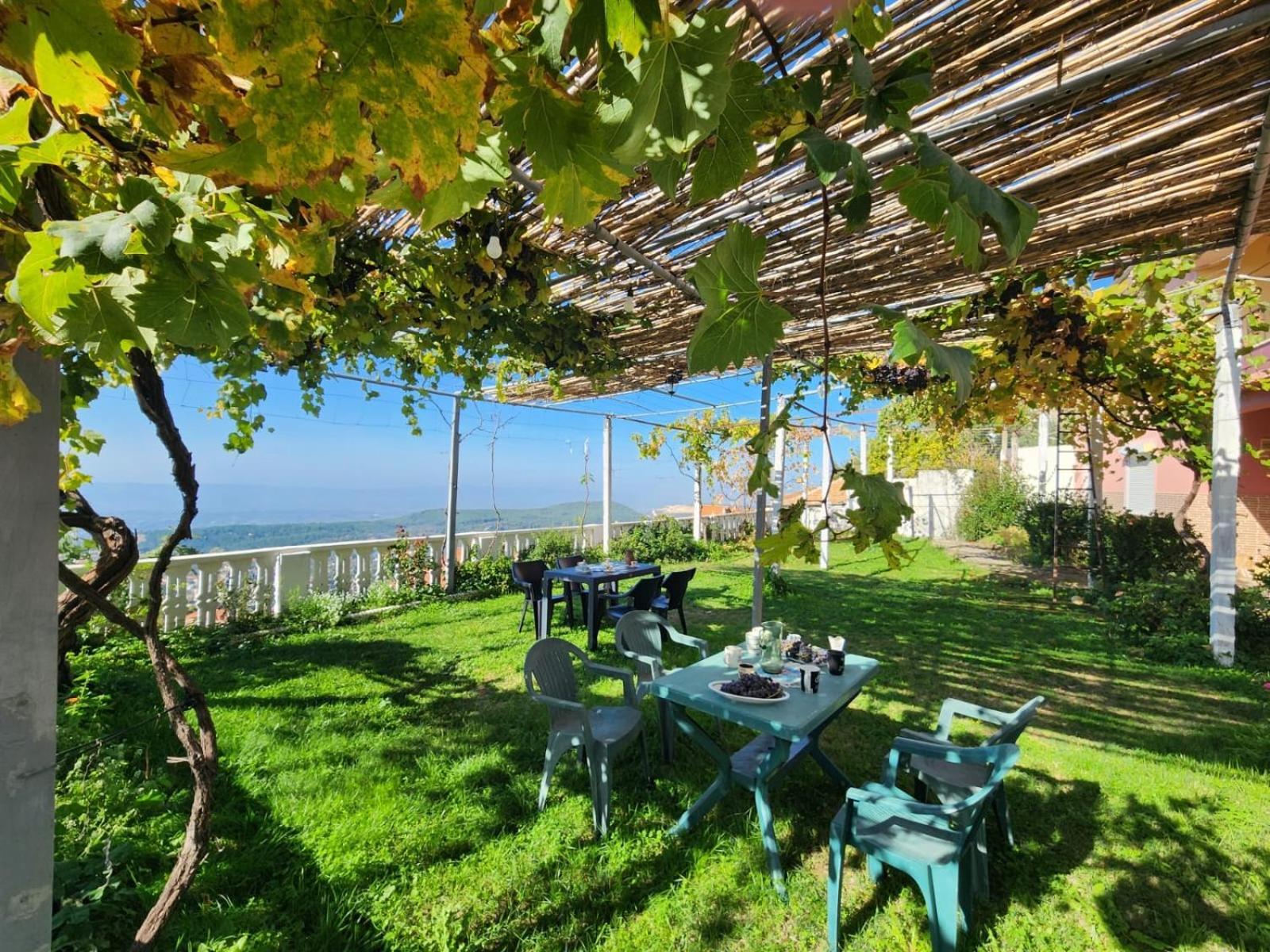 Garden Villa Guni Krujë Eksteriør billede